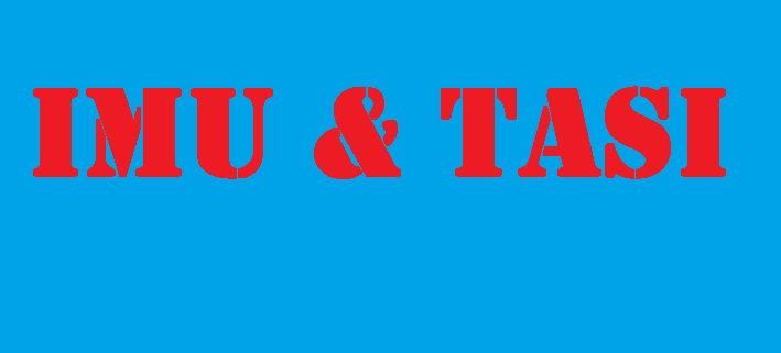 scadenza imu e tasi