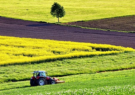 prodotti agricoli