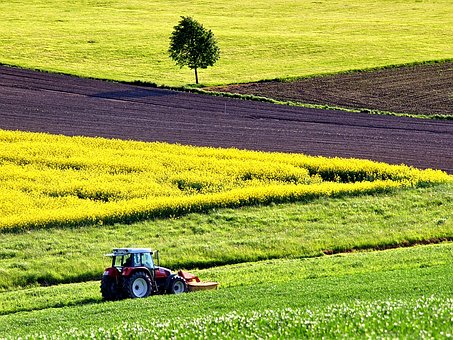 prodotti agricoli